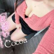 ヒメ日記 2026/02/15 18:03 投稿 心愛【ここあ】 CoCoaco(ココアコ)大阪本店