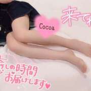 ヒメ日記 2026/02/18 19:34 投稿 心愛【ここあ】 CoCoaco(ココアコ)大阪本店