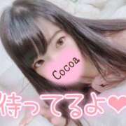 ヒメ日記 2026/02/20 00:16 投稿 心愛【ここあ】 CoCoaco(ココアコ)大阪本店