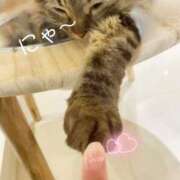 ヒメ日記 2026/02/22 13:00 投稿 心愛【ここあ】 CoCoaco(ココアコ)大阪本店