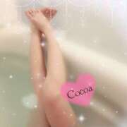 ヒメ日記 2026/02/24 00:28 投稿 心愛【ここあ】 CoCoaco(ココアコ)大阪本店