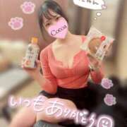 ヒメ日記 2026/02/28 04:00 投稿 心愛【ここあ】 CoCoaco(ココアコ)大阪本店