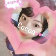 ヒメ日記 2026/02/28 16:00 投稿 心愛【ここあ】 CoCoaco(ココアコ)大阪本店
