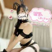ヒメ日記 2026/03/01 01:01 投稿 心愛【ここあ】 CoCoaco(ココアコ)大阪本店
