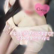 ヒメ日記 2026/03/08 22:30 投稿 心愛【ここあ】 CoCoaco(ココアコ)大阪本店