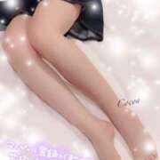 ヒメ日記 2026/03/13 23:21 投稿 心愛【ここあ】 CoCoaco(ココアコ)大阪本店