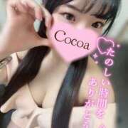 ヒメ日記 2026/03/17 04:00 投稿 心愛【ここあ】 CoCoaco(ココアコ)大阪本店