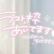 ヒメ日記 2026/03/17 22:40 投稿 心愛【ここあ】 CoCoaco(ココアコ)大阪本店