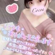 ヒメ日記 2026/03/24 07:00 投稿 心愛【ここあ】 CoCoaco(ココアコ)大阪本店