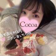 ヒメ日記 2026/03/28 04:00 投稿 心愛【ここあ】 CoCoaco(ココアコ)大阪本店