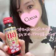 ヒメ日記 2026/03/29 06:00 投稿 心愛【ここあ】 CoCoaco(ココアコ)大阪本店