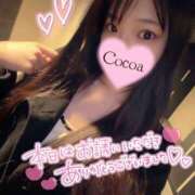 ヒメ日記 2026/03/30 01:30 投稿 心愛【ここあ】 CoCoaco(ココアコ)大阪本店