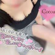 ヒメ日記 2026/03/31 20:10 投稿 心愛【ここあ】 CoCoaco(ココアコ)大阪本店