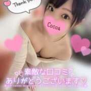 ヒメ日記 2026/04/03 03:15 投稿 心愛【ここあ】 CoCoaco(ココアコ)大阪本店