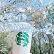 ヒメ日記 2026/04/03 13:00 投稿 心愛【ここあ】 CoCoaco(ココアコ)大阪本店