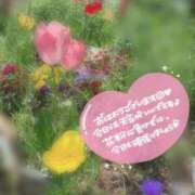 ヒメ日記 2026/04/13 07:00 投稿 心愛【ここあ】 CoCoaco(ココアコ)大阪本店