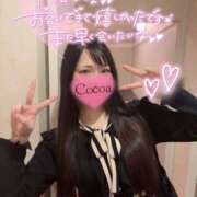 ヒメ日記 2026/04/14 04:00 投稿 心愛【ここあ】 CoCoaco(ココアコ)大阪本店