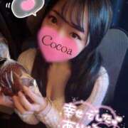 ヒメ日記 2026/04/16 04:00 投稿 心愛【ここあ】 CoCoaco(ココアコ)大阪本店