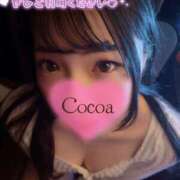 ヒメ日記 2026/04/16 15:00 投稿 心愛【ここあ】 CoCoaco(ココアコ)大阪本店
