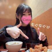 ヒメ日記 2026/04/17 10:00 投稿 心愛【ここあ】 CoCoaco(ココアコ)大阪本店