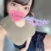 ヒメ日記 2026/04/24 22:22 投稿 心愛【ここあ】 CoCoaco(ココアコ)大阪本店
