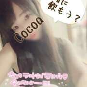 ヒメ日記 2026/04/29 19:20 投稿 心愛【ここあ】 CoCoaco(ココアコ)大阪本店