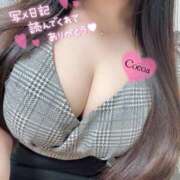 ヒメ日記 2026/04/30 01:48 投稿 心愛【ここあ】 CoCoaco(ココアコ)大阪本店
