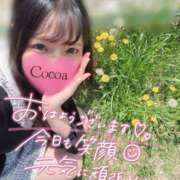 ヒメ日記 2026/05/10 07:10 投稿 心愛【ここあ】 CoCoaco(ココアコ)大阪本店