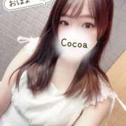 ヒメ日記 2026/05/21 19:00 投稿 心愛【ここあ】 CoCoaco(ココアコ)大阪本店