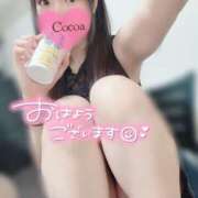 心愛【ここあ】 日曜日お昼🕛 CoCoaco(ココアコ)大阪本店