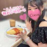 ヒメ日記 2026/05/27 00:00 投稿 心愛【ここあ】 CoCoaco(ココアコ)大阪本店