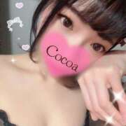 ヒメ日記 2026/05/30 19:02 投稿 心愛【ここあ】 CoCoaco(ココアコ)大阪本店