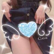 ヒメ日記 2026/06/04 17:30 投稿 心愛【ここあ】 CoCoaco(ココアコ)大阪本店