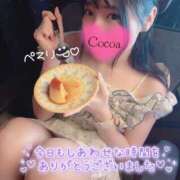 ヒメ日記 2026/06/05 00:00 投稿 心愛【ここあ】 CoCoaco(ココアコ)大阪本店