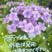 ヒメ日記 2026/06/07 17:00 投稿 心愛【ここあ】 CoCoaco(ココアコ)大阪本店
