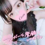 ヒメ日記 2026/06/09 13:35 投稿 心愛【ここあ】 CoCoaco(ココアコ)大阪本店