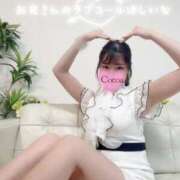 ヒメ日記 2026/06/09 19:09 投稿 心愛【ここあ】 CoCoaco(ココアコ)大阪本店