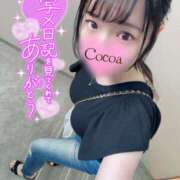 ヒメ日記 2026/06/11 20:28 投稿 心愛【ここあ】 CoCoaco(ココアコ)大阪本店