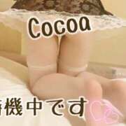 ヒメ日記 2026/06/12 15:41 投稿 心愛【ここあ】 CoCoaco(ココアコ)大阪本店