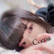 ヒメ日記 2026/06/20 16:20 投稿 心愛【ここあ】 CoCoaco(ココアコ)大阪本店