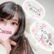 ヒメ日記 2026/06/23 15:03 投稿 心愛【ここあ】 CoCoaco(ココアコ)大阪本店