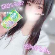 ヒメ日記 2026/06/30 12:42 投稿 心愛【ここあ】 CoCoaco(ココアコ)大阪本店