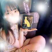 ヒメ日記 2026/07/03 00:00 投稿 心愛【ここあ】 CoCoaco(ココアコ)大阪本店