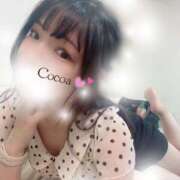 ヒメ日記 2026/07/14 19:40 投稿 心愛【ここあ】 CoCoaco(ココアコ)大阪本店