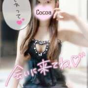 ヒメ日記 2026/07/28 22:51 投稿 心愛【ここあ】 CoCoaco(ココアコ)大阪本店