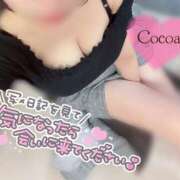 ヒメ日記 2026/08/04 13:00 投稿 心愛【ここあ】 CoCoaco(ココアコ)大阪本店