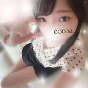 ヒメ日記 2026/08/16 20:30 投稿 心愛【ここあ】 CoCoaco(ココアコ)大阪本店