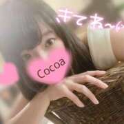 ヒメ日記 2026/08/29 17:35 投稿 心愛【ここあ】 CoCoaco(ココアコ)大阪本店