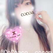 ヒメ日記 2026/09/17 12:36 投稿 心愛【ここあ】 CoCoaco(ココアコ)大阪本店