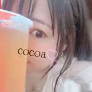 ヒメ日記 2026/09/17 21:42 投稿 心愛【ここあ】 CoCoaco(ココアコ)大阪本店